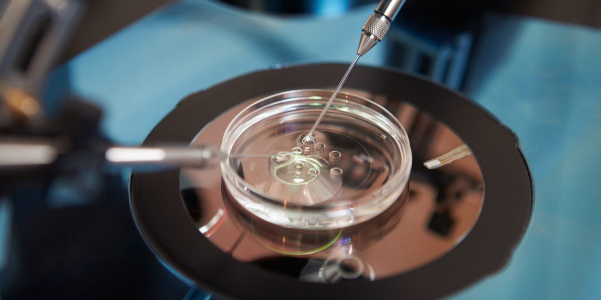 Embryo culture process by Cooper Surgical for IVF attorneys assisting clients in fertility cases.